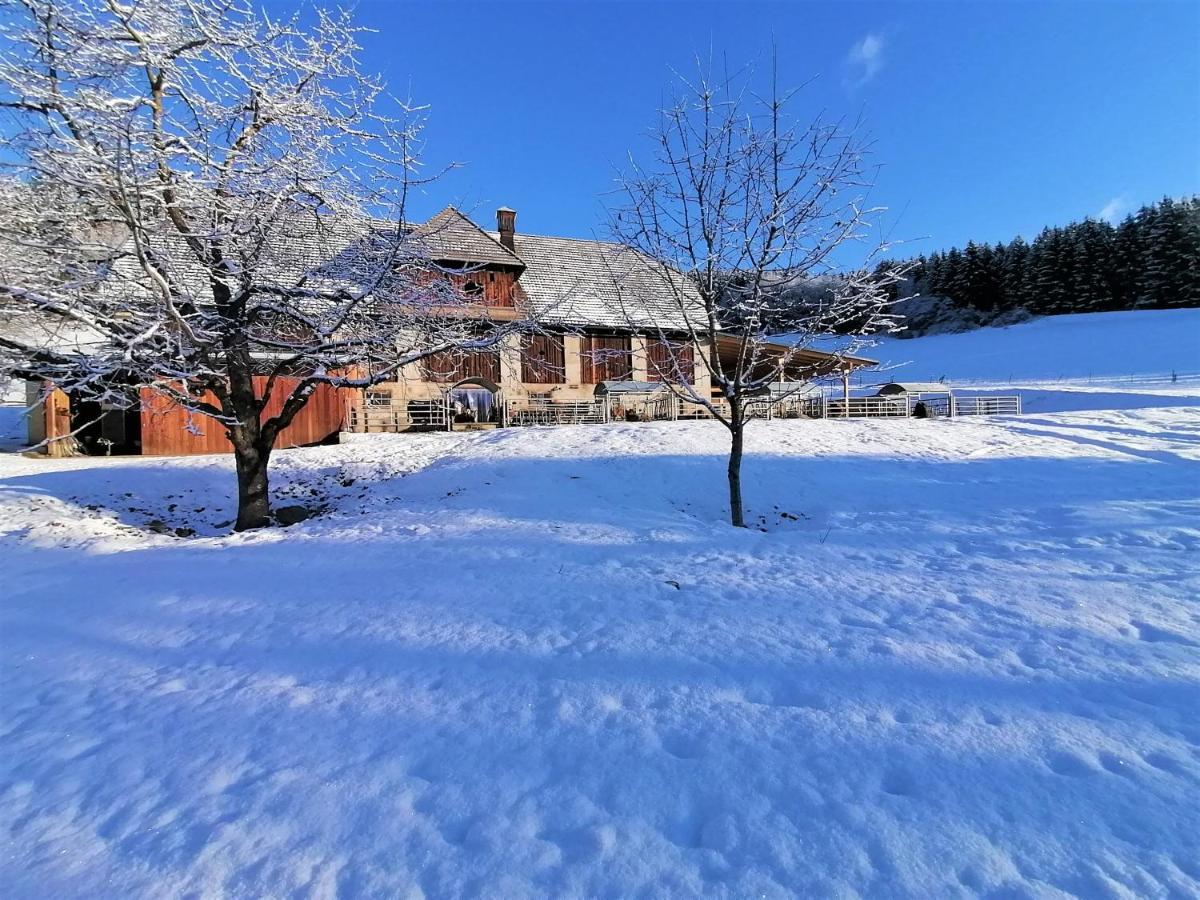 Staudachhof Apartamento Althofen  Exterior foto
