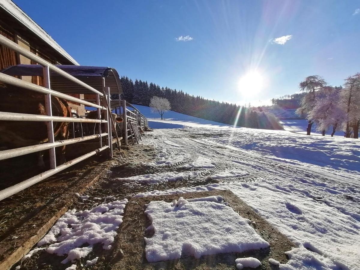 Staudachhof Apartamento Althofen  Exterior foto